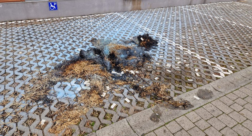 Mieszkańcy Czernikowic narobili dymu we Wrocławiu