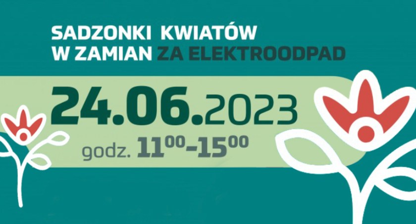 Wymień elektroodpady na sadzonki kwiatów
