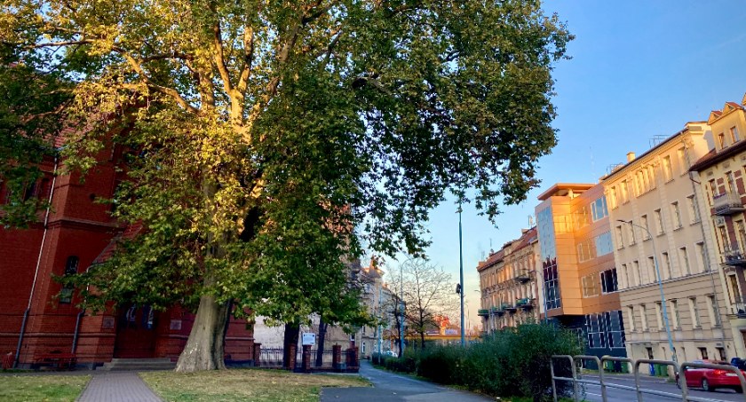 100 tysięcy złotych grantu dla Legnickiej Biblioteki Publicznej