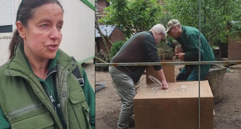 Zoo w Poznaniu wystawi Legnicy rachunek za zwierzęta z palmiarni