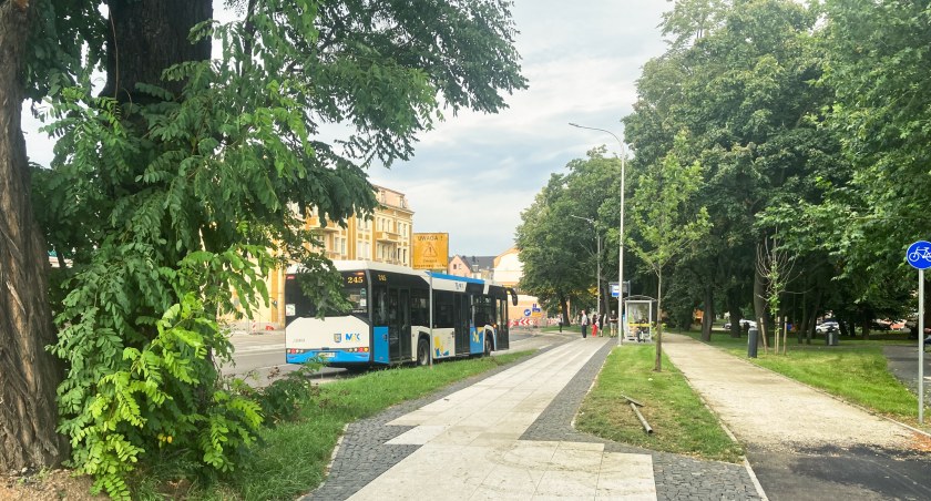 Darmowe przejazdy autobusami w piątek, ale nie dla wszystkich