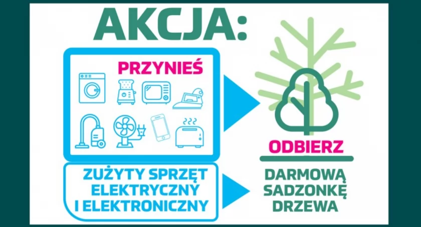 Akcja wymiany elektrośmieci na sadzonkę drzewa