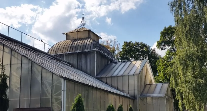 32 mln zł z Polskiego Ładu dla Legnicy - na drogi, park i palmiarnię