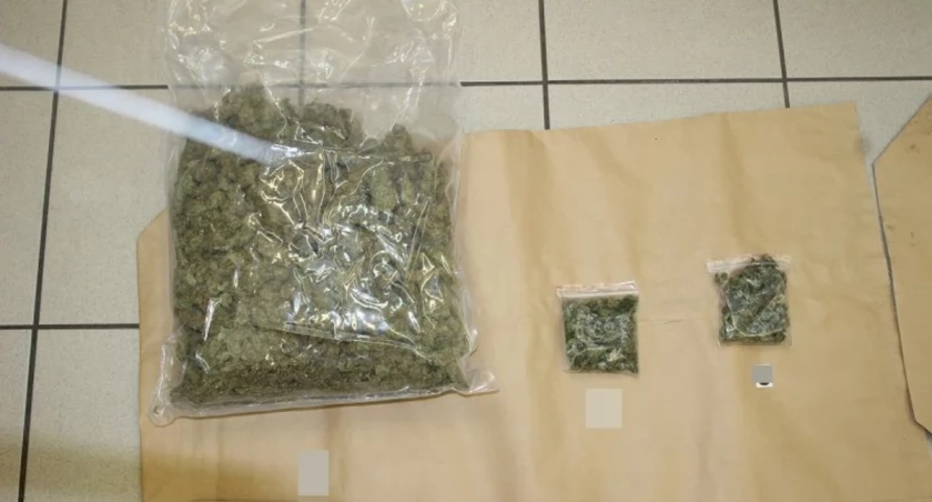 Zatrzymano dilera narkotyków. Handlował amfetaminą i marihuaną.