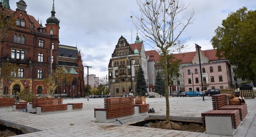 Sadzą drzewa na pl. Słowiańskim w Legnicy
