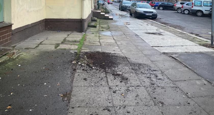 Interwencje straży pożarnej w związku ze szkodami spowodowanymi wiatrem