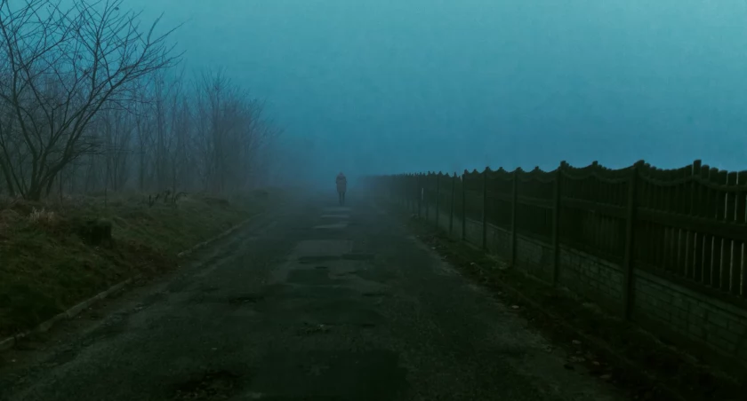 Poszukiwany trafił do aresztu po nocnym spacerze