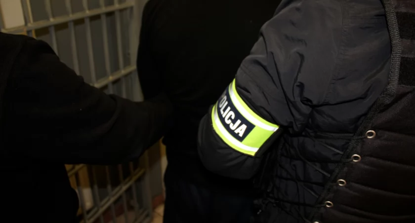 Areszt za znęcanie się nad matką