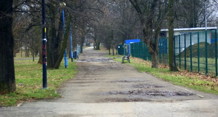 Legnica przebuduje kolejne alejki w parku Miejskim