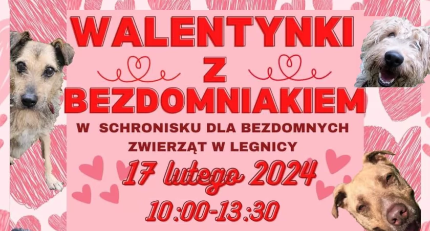 Walentynki z bezdomniakiem 