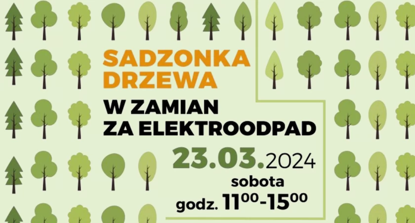 Akcja wymiany elektroodpadów na sadzonki drzew