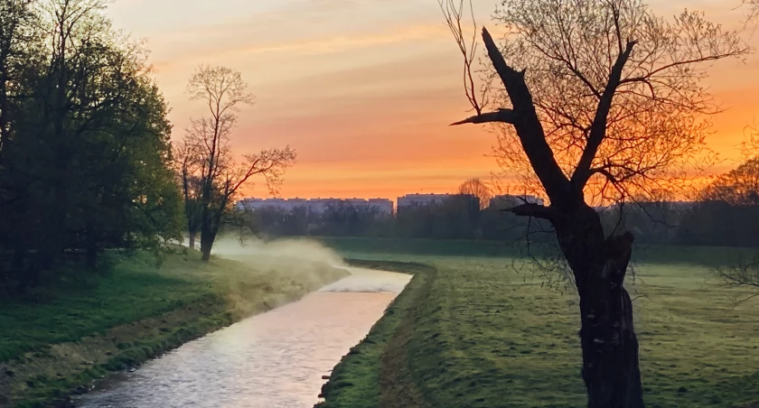 Wracają przymrozki - ostrzeżenie meteorologiczne