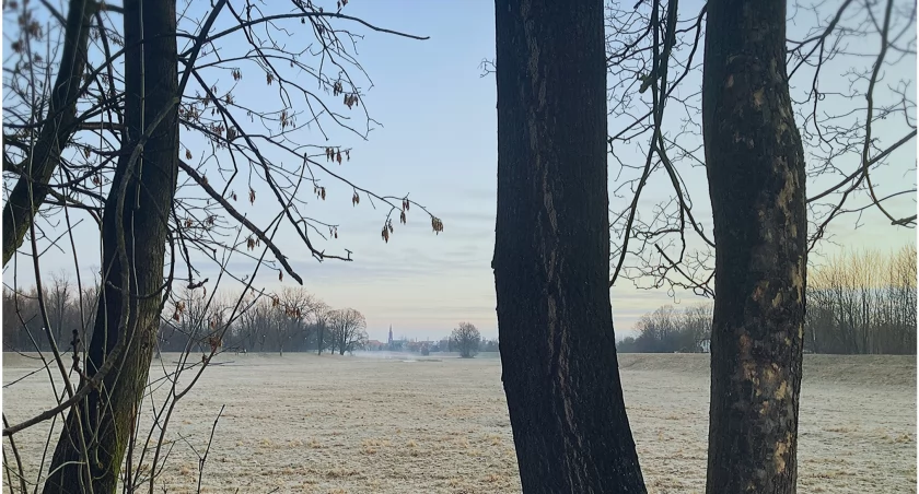 Dziś przymrozki, a podczas Wielkanocy 20 stopni Celsjusza 