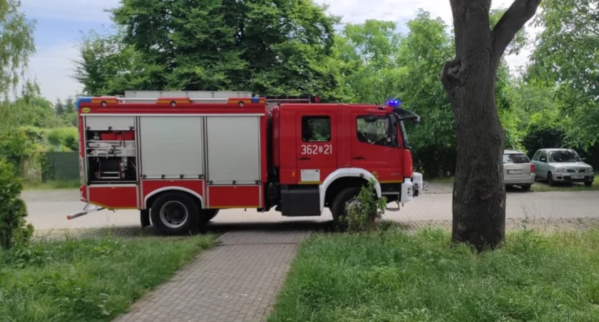 Strażacy wezwani do podejrzanej przesyłki w sądzie 