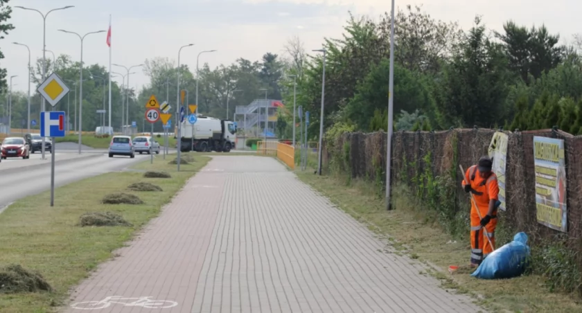 W mieście trwa koszenie traw