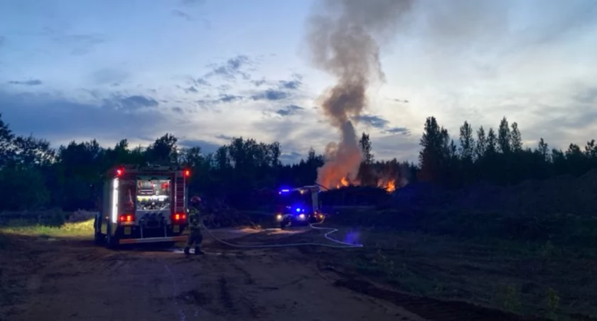 Strażacy bronią Lasku Złotoryjskiego przed ogniem