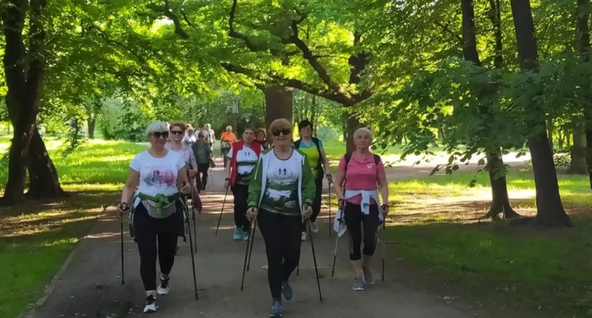 Bezpłatne zajęcia nordic walking dla seniorów