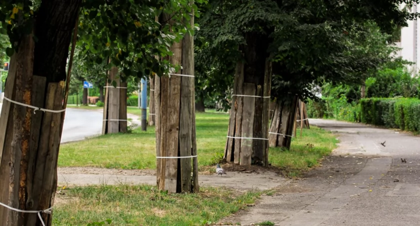 Przygotowania do przebudowy al. Rzeczypospolitej