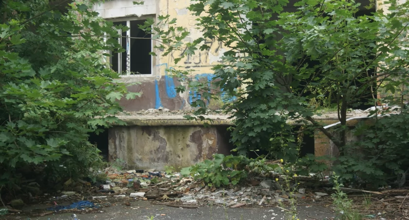 Wylęgarnia szczurów i robactwa - jedna z wielu w Legnicy
