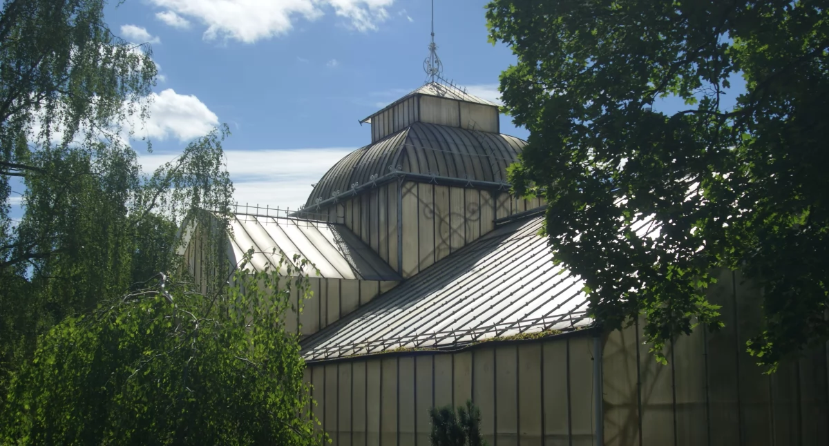 LPGK nie chciało już zajmować się palmiarnią