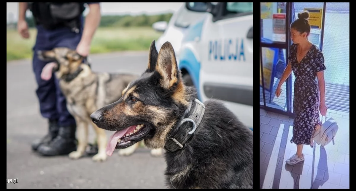 Poszukiwania Izabeli Parzyszek. Policja zamknęła autostradę A4 