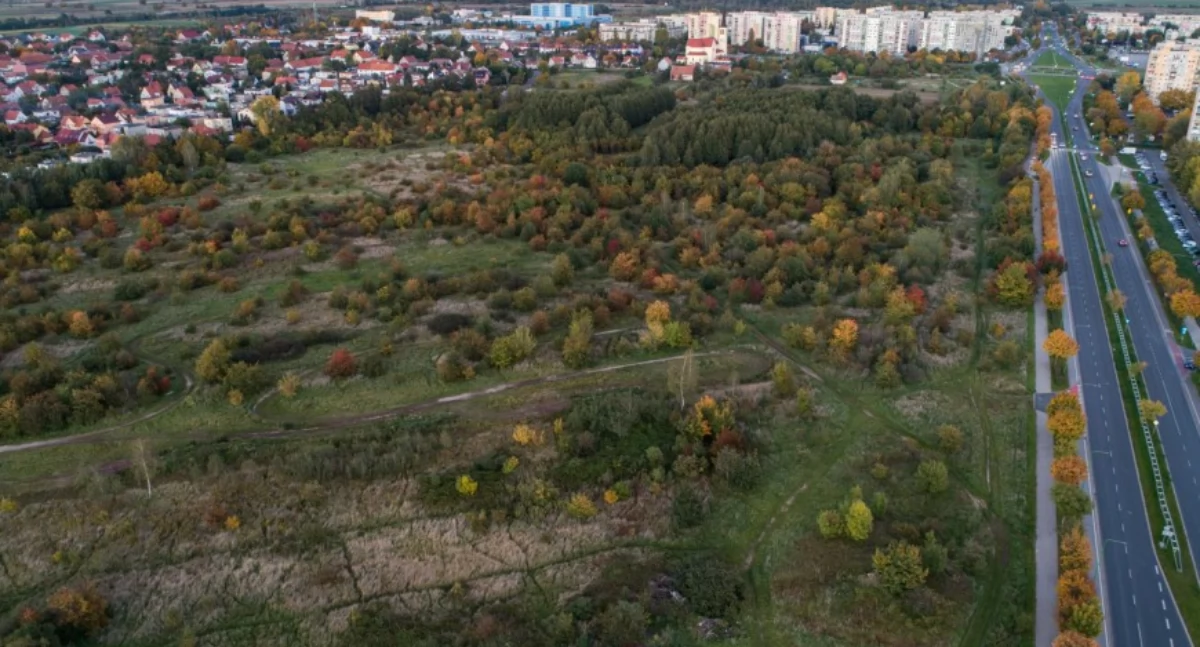 Legnica szykuje konkurs na zagospodarowanie jednostki D na Piekarach