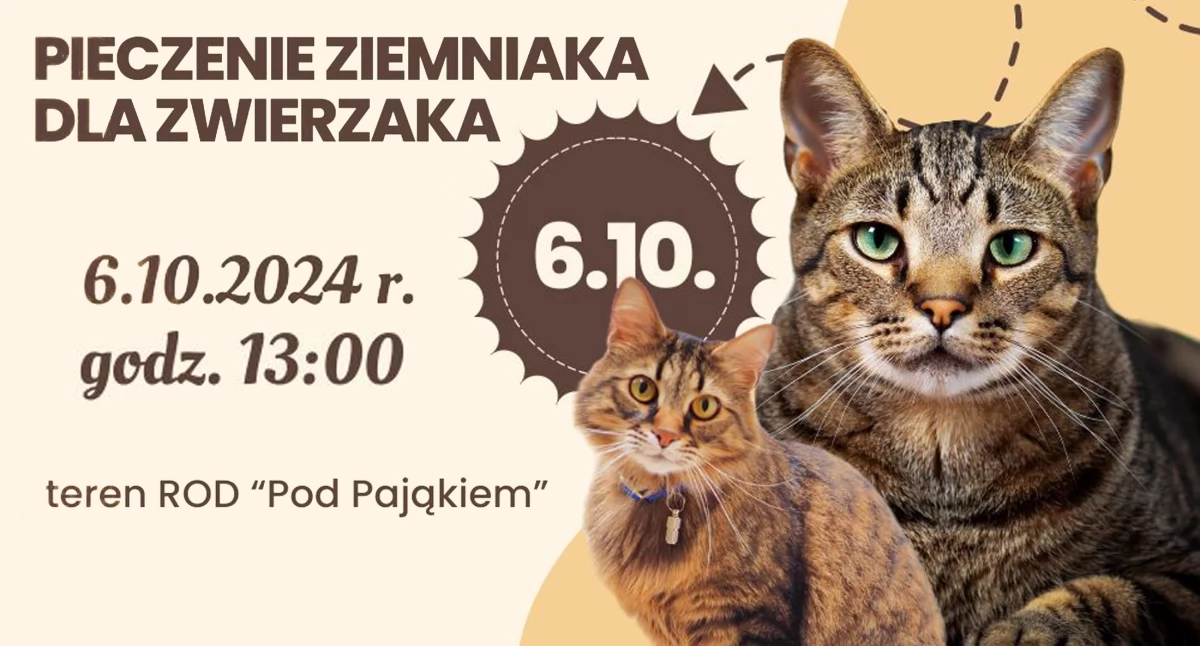 Charytatywna akcja „Pieczenie ziemniaka dla zwierzaka”