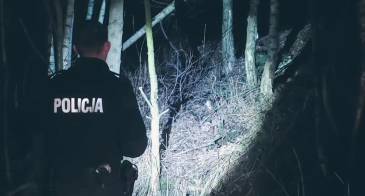 Policja szukała po nocy zagubionego w lesie grzybiarza