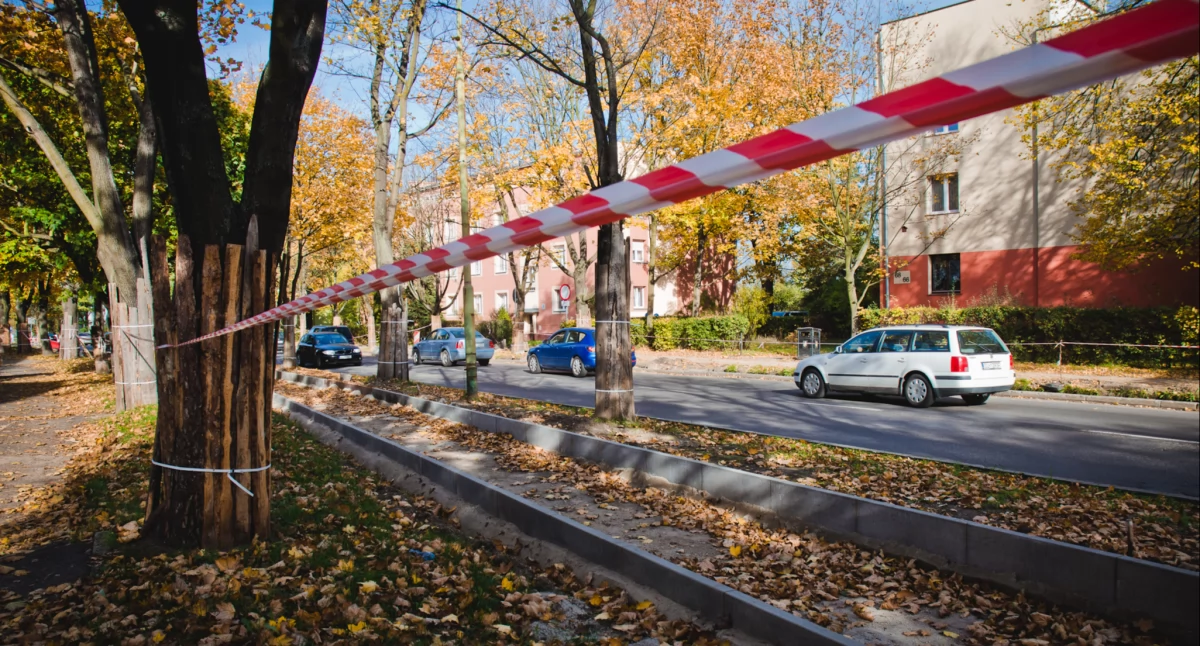 Remont Rzeczypospolitej - zmiana organizacji ruchu (FOTO)