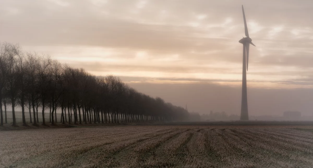 Chciałaby się budować - nie może, bo za płotem ma wiatrak. Przesuwny