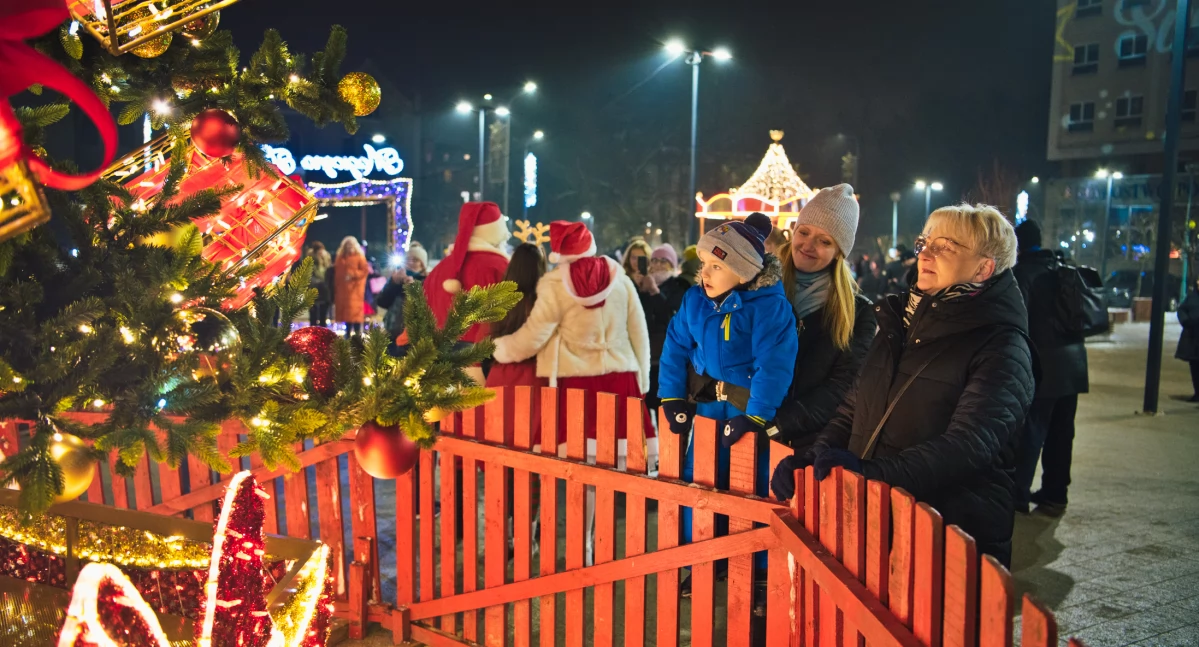 Inauguracja świątecznych iluminacji w Legnicy