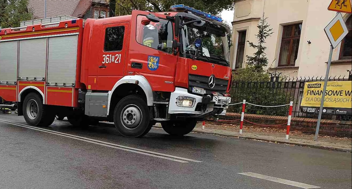 Strażacy zakończyli akcję 