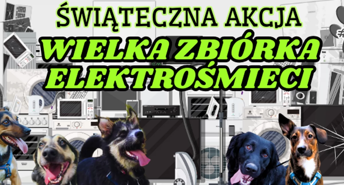 Oddaj elektrośmieci - pomóż bezdomnym zwierzętom