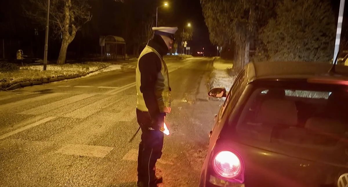 Zatrzymali się do kontroli drogowej - skończyli w celi