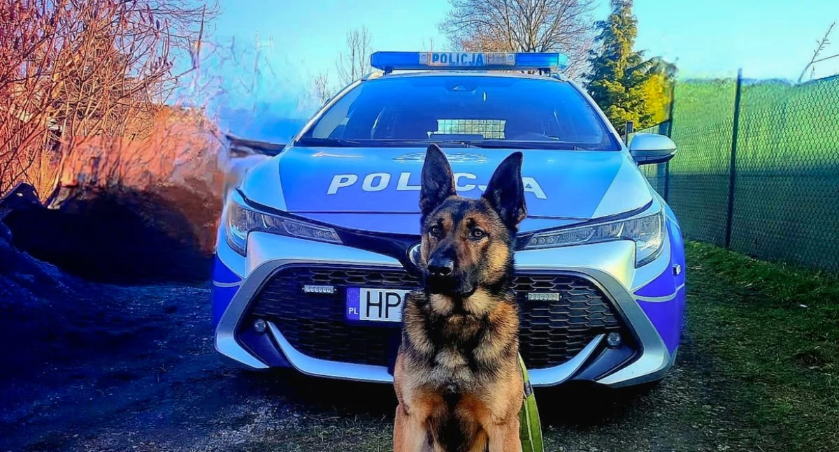 Nowy funkcjonariusz legnickiej policji 
