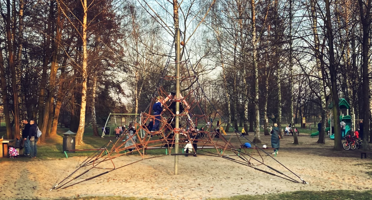 Jest przetarg na budowę parku linowego na Zosinku 