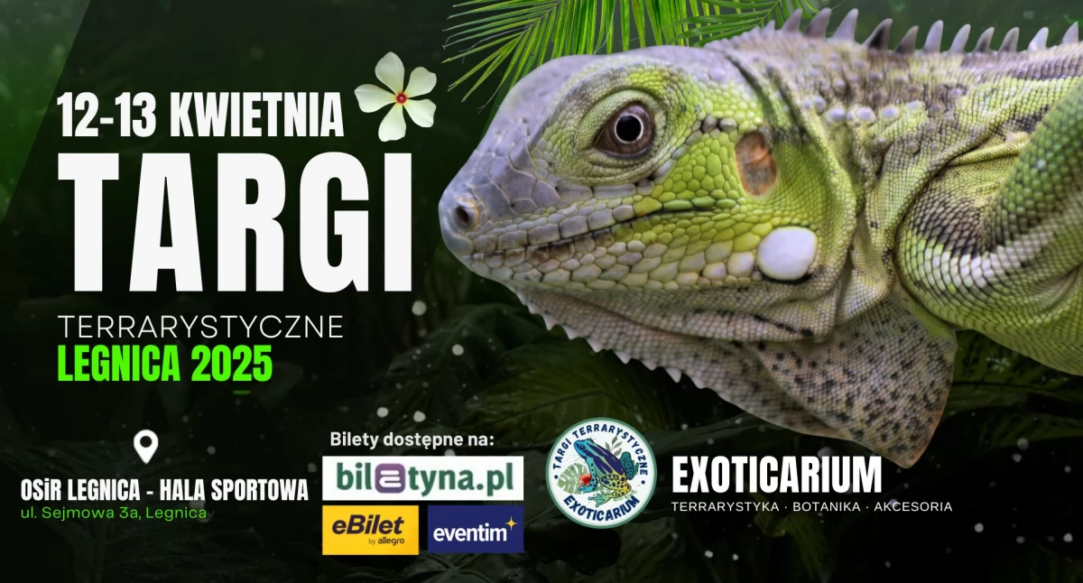 Targi Terrarystyczne w Legnicy – dwudniowa uczta dla fanów egzotyki