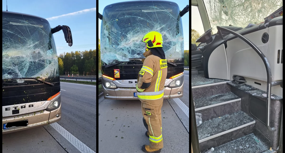 Drzewo spadło na autokar na autostradzie A4