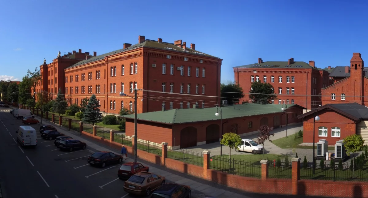 Gra terenowa w Collegium Witelona
