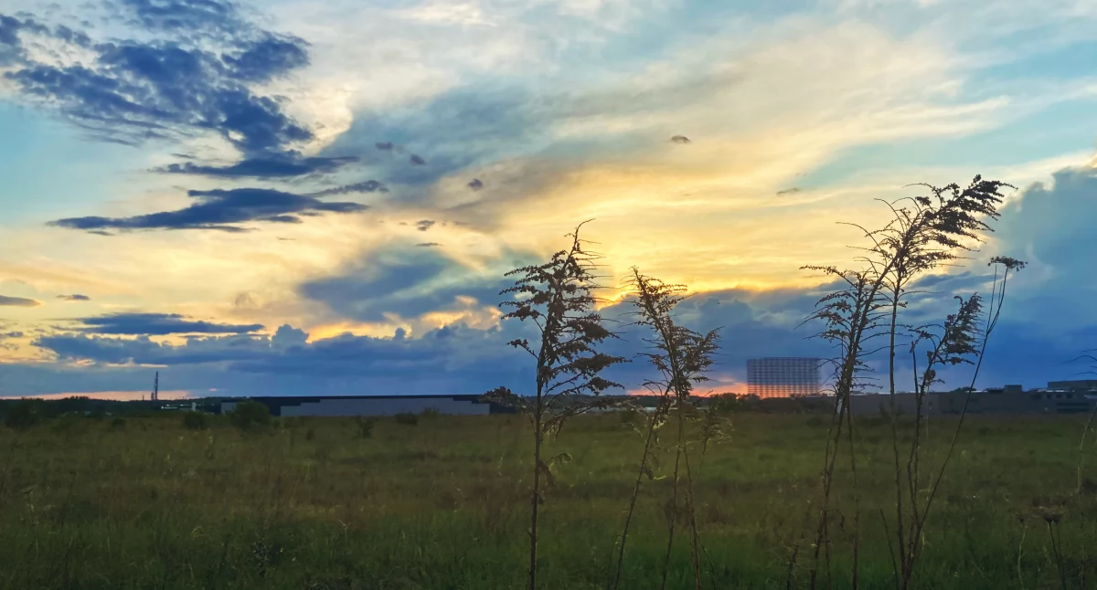 Wiosna w dzień, zima w nocy - ostrzeżenie meteo o przymrozkach