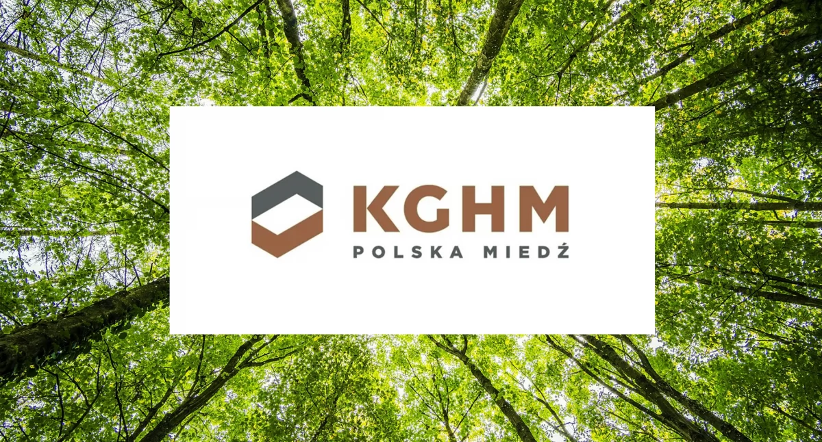 Zatwierdzenie PUL i UPUL dla lasów KGHM Polska Miedź S.A. Oddział Huta Miedzi „Głogów”