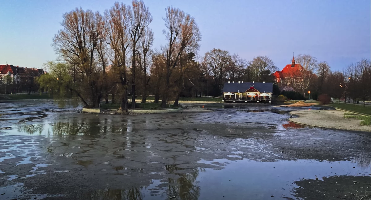 Radna martwi się o faunę i florę na Kozim Stawie. Wiceprezydent odpowiada