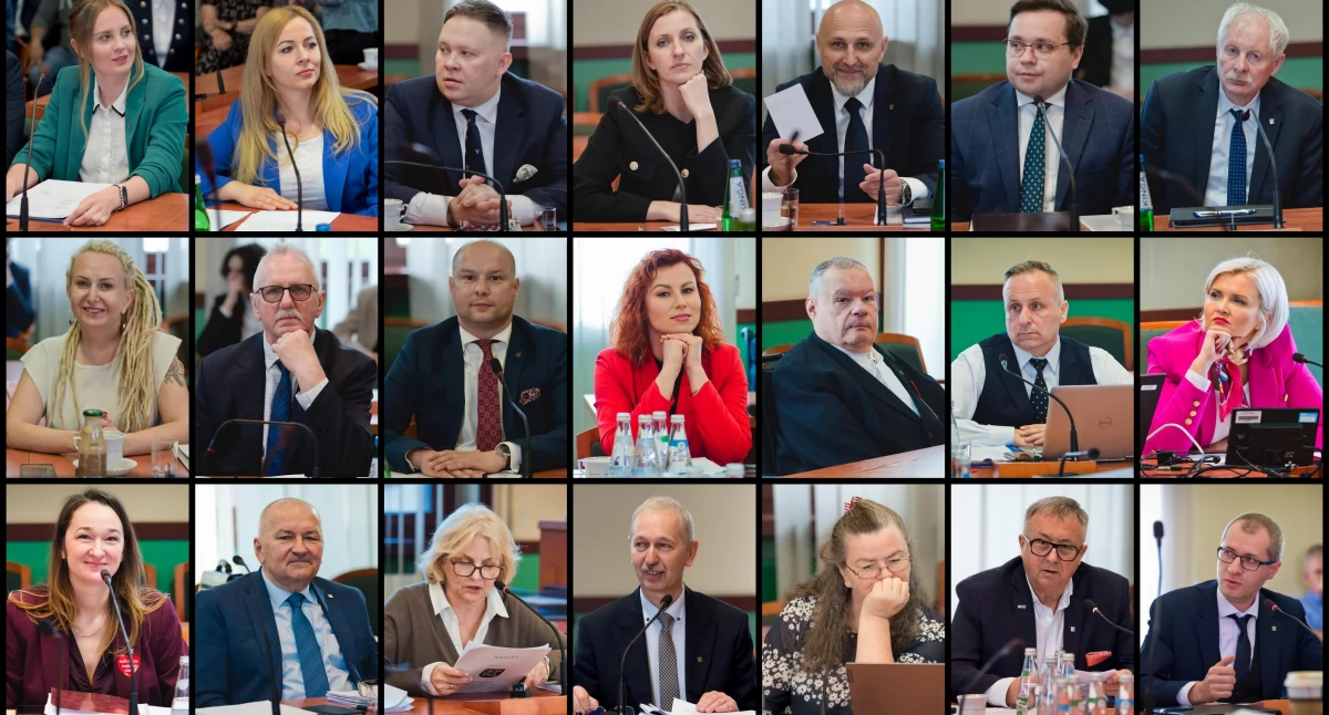 Co legniccy radni wpisali do oświadczeń majątkowych