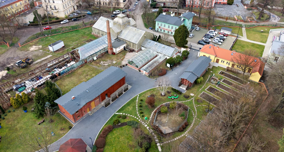 Legnica pozyskała kolejne pieniądze na prace w palmiarni 