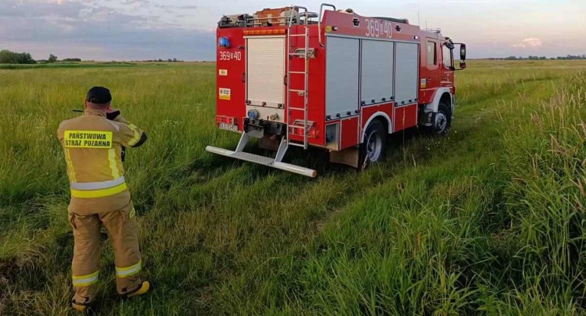 Strażacy wyciągnęli dziecko, które tonęło w bagnie