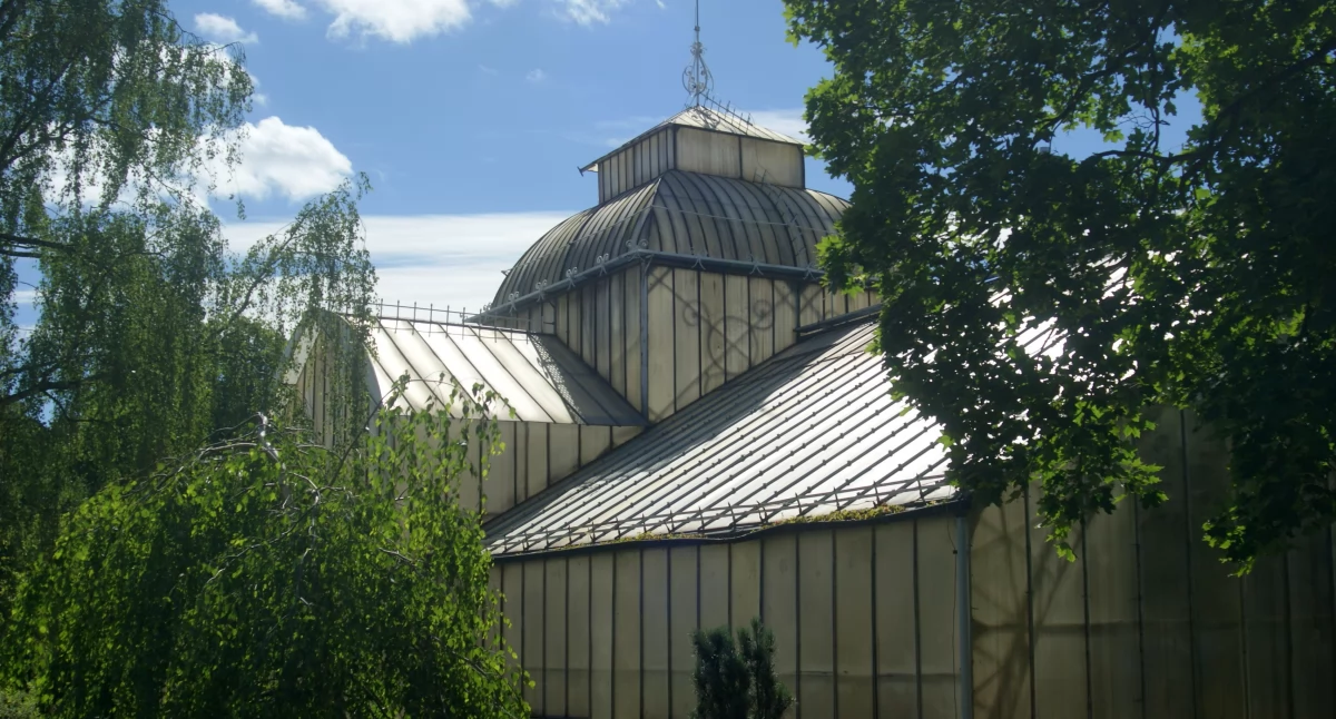 LPGK nie wystartowało w przetargu na utrzymanie palmiarni
