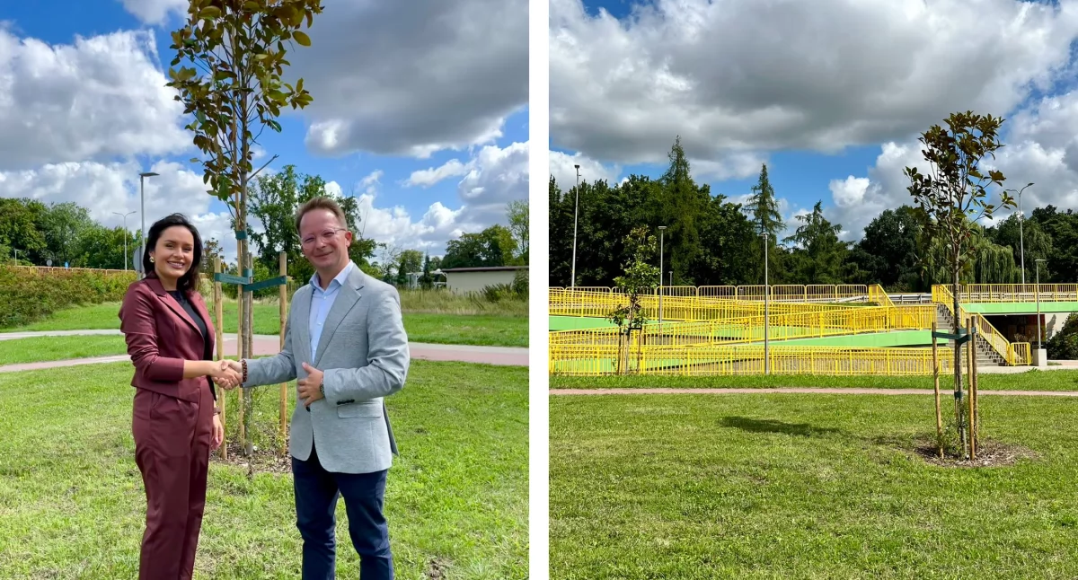 Nowe magnolie przy AquaFun od firmy Wise EXPO