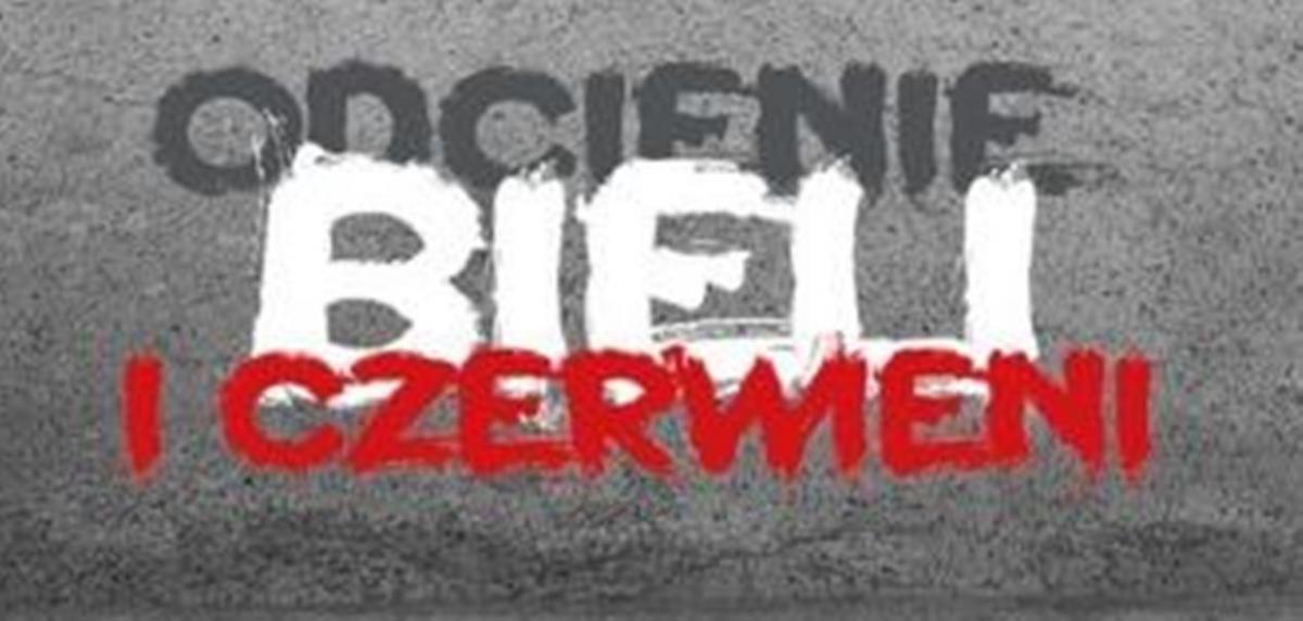 Sztuka w poszukiwaniu tożsamości i interpretacji patriotyzmu