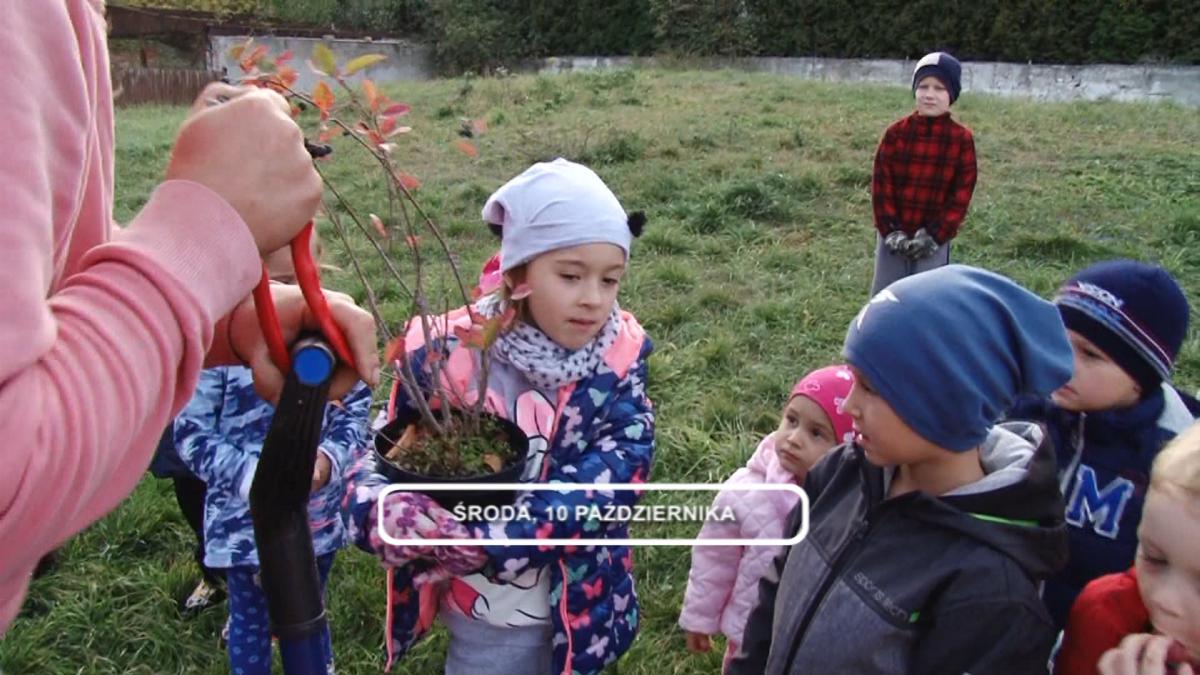 Legnica, Informacje Dami TV, 10.10.2018