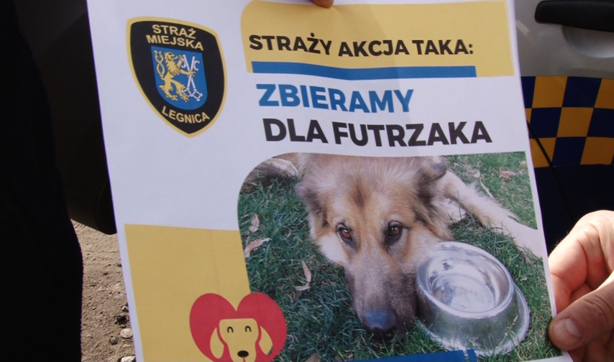 Straż miejska zbiera karmę dla psów